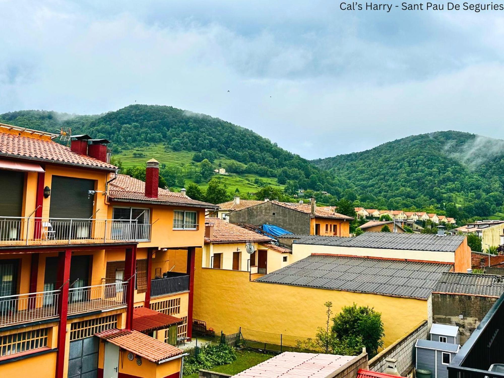 Cal Harrys - La Mejor Casa De Vacaciones En Pyrenees Con Vistas A La Montana Sant Pau de Segúries Exterior foto
