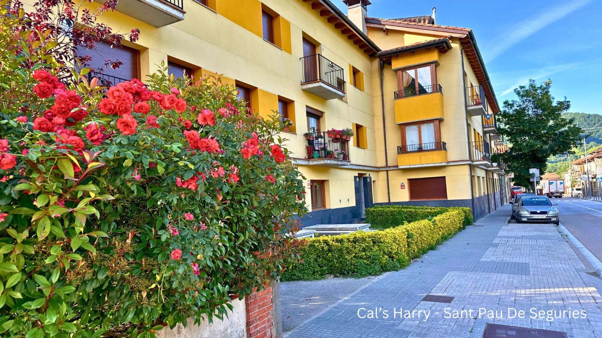 Cal Harrys - La Mejor Casa De Vacaciones En Pyrenees Con Vistas A La Montana Sant Pau de Segúries Exterior foto